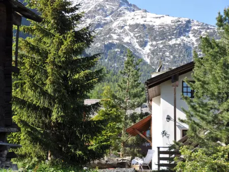 Goldblick, (Grächen), 1767+1034+2083, Appartement 5 personnes à Grächen - Photo 23