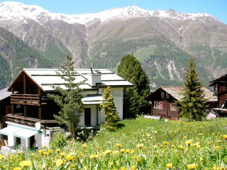Goldblick, (Grächen), 1767+1034+2083, Appartement 5 personnes à Grächen - Photo 28