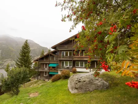 Silence / Studio Türkis, (Grächen), 1024, Appartement 2 personnes à Grächen - Photo 21