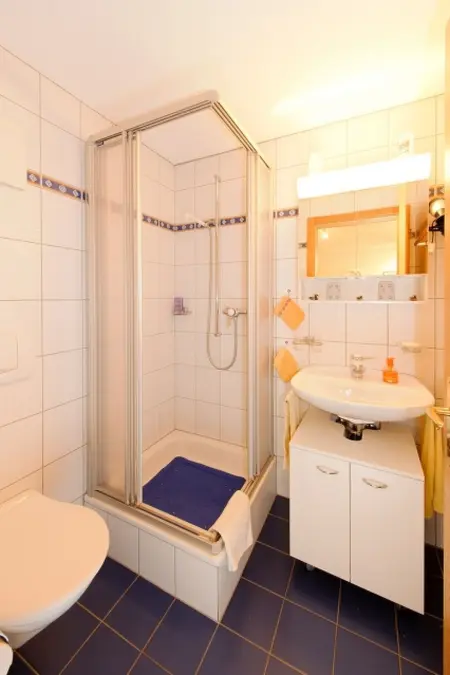 Sierra Vista Wohnung Nr. 17, (Grächen), 2010, Appartement 4 personnes à Grächen - Photo 5
