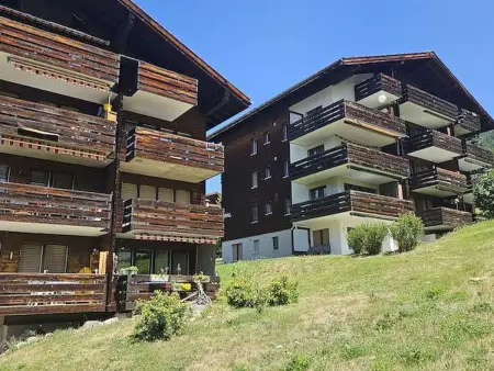 Ferienwohnunung Nr.22,Haus Azurit, (Grächen), 1201 - Photo 1