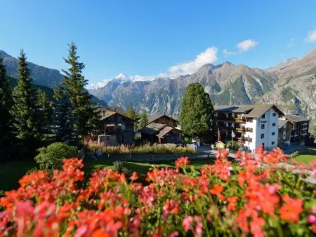 Anna 33, (Grächen), 1307, Appartement 5 personnes à Grächen - Photo 21