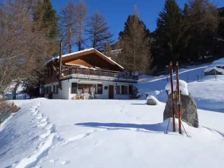 Finkennest, (Grächen),, Appartement 5 personnes à Grächen - Photo 7