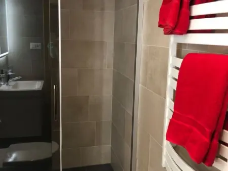 Alpfrieden, (Grächen), 1336, Appartement 2 personnes à Grächen - Photo 8