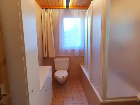 Schneevogul, (Grächen), 1114, Appartement 4 personnes à Grächen - Photo 13