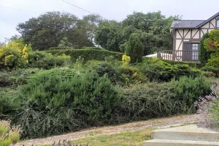 297702, Maison de vacances avec 1 chambre - Photo 37