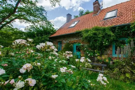 63999, La Petite Maison - Photo 9