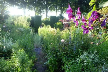 58382, Le Clos Normand - Photo 5