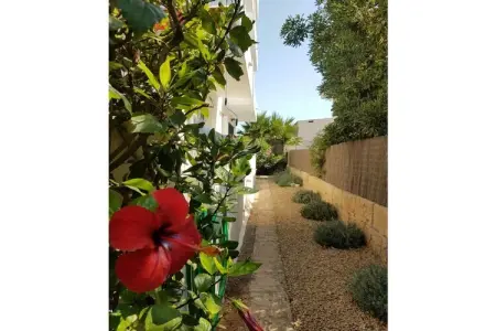 229439, Appartement de type C - Photo 8