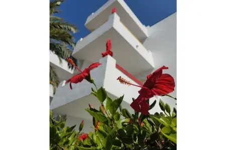 229439, Appartement de type C - Photo 13