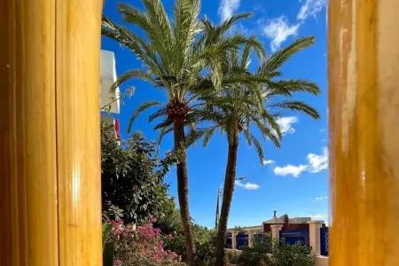 229439, Appartement de type C - Photo 18