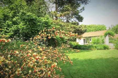 64203, Maison de vacances avec 1 chambre - Photo 6