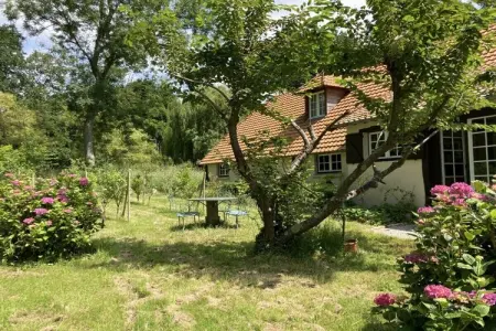 352968, ||-----Maison de Noémie----------|| - Photo 9