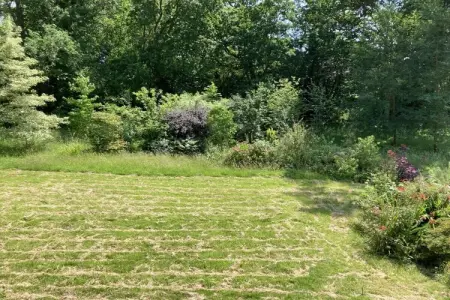 352968, ||-----Maison de Noémie----------|| - Photo 38