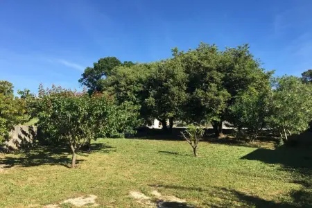 273542, La Petite Récré - Photo 4