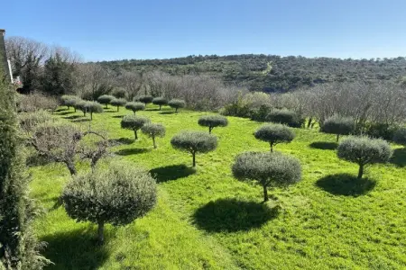 273542, La Petite Récré - Photo 32