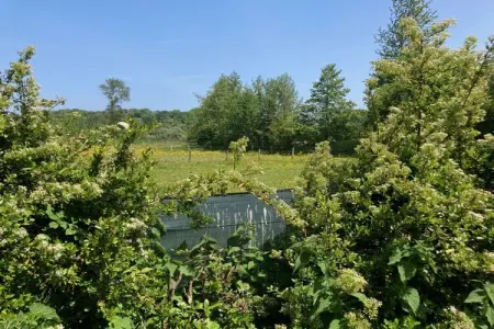 444401, Maison de vacances à Longueil avec parking - Photo 19