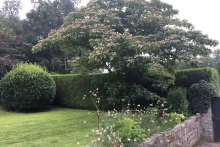 397173, ||---Maison de Suzon---|| - Photo 1
