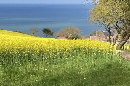 396570, Maison des Petites Bruyères - Photo 30