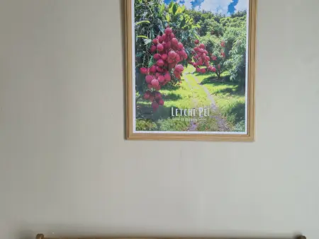 Appartement climatisé avec vue sur le lagon - 2 pers. - Photo 6