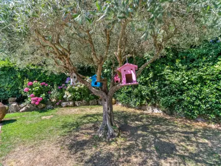 Quietud, Maison 6 personnes à Sta Cristina d'Aro - Photo 49