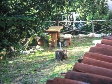 Unabhängige Wohnung, mitten im Grünen des Berges und des Sees, 80 km von Ost-Ro - Photo 28