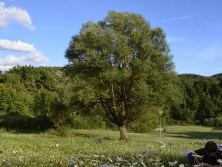 Unabhängige Wohnung, mitten im Grünen des Berges und des Sees, 80 km von Ost-Ro - Photo 45