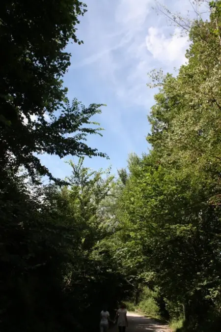 Unabhängige Wohnung, mitten im Grünen des Berges und des Sees, 80 km von Ost-Ro - Photo 48