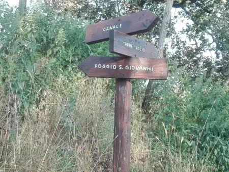 Unabhängige Wohnung, mitten im Grünen des Berges und des Sees, 80 km von Ost-Ro - Photo 50
