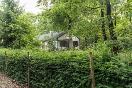 Woning Beffe-Rendeux, Charmante maison de vacances dans les Ardennes pour 8 personnes - Photo 9