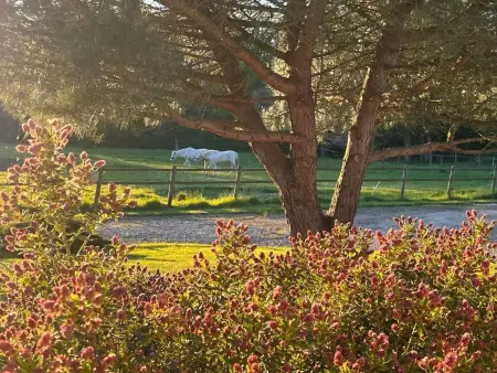 Maison cosy avec jardin à Leugny, 85 m², terrasse - Photo 21