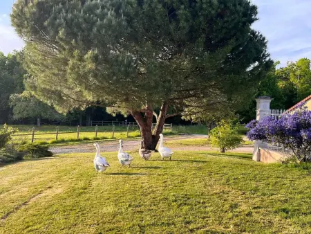 Maison cosy avec jardin à Leugny, 85 m², terrasse - Photo 22