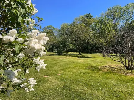 Maison cosy avec jardin à Leugny, 85 m², terrasse - Photo 23