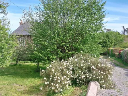 Ty Yannick, Maison 4 personnes à Ploumanach - Photo 37