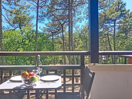 Les 3 voiles, Appartement 2 personnes à Maubuisson - Photo 24