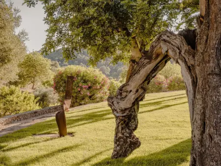 Villa de luxe à Ibiza: Sérénité et Bien-être dans un Jardin Enchanteur - Photo 14