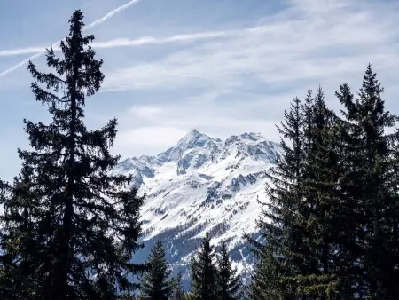 Résidence l'Orée du Bois, Appartement 10 personnes à La Rosière - Photo 16