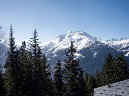 Résidence l'Orée du Bois, Appartement 10 personnes à La Rosière - Photo 18