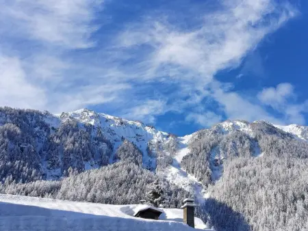 Chalet Coeur Paradis, Maison 8 personnes à Peisey Nancroix - Photo 19