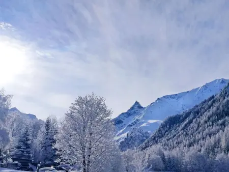 Chalet Coeur Paradis, Maison 8 personnes à Peisey Nancroix - Photo 20