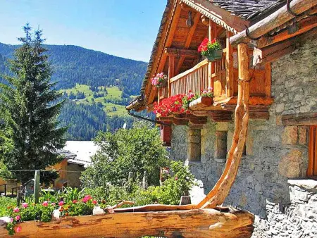 Chalet Coeur Paradis, Maison 8 personnes à Peisey Nancroix - Photo 21