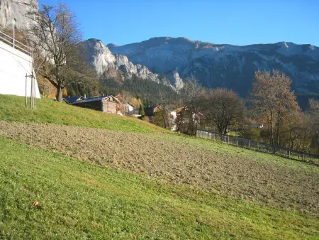 Plattas, (Flims Fidaz), 1045, Appartement 4 personnes à Flims - Photo 4