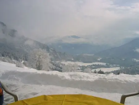 Plattas, (Flims Fidaz), 1045, Appartement 4 personnes à Flims - Photo 16