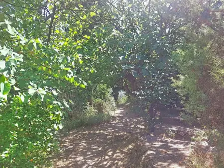 Les Sources, Maison 4 personnes à Draguignan - Photo 54