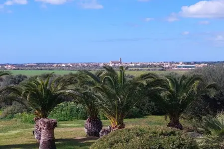 238929, Sa Rota de sa Marina - Photo 13