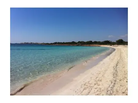 238929, Sa Rota de sa Marina - Photo 34