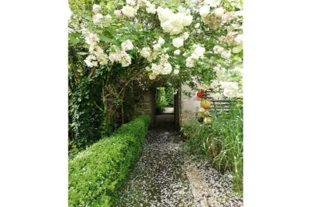 298947, 690 - Charmante villa dans un jardin luxuriant - Photo 5
