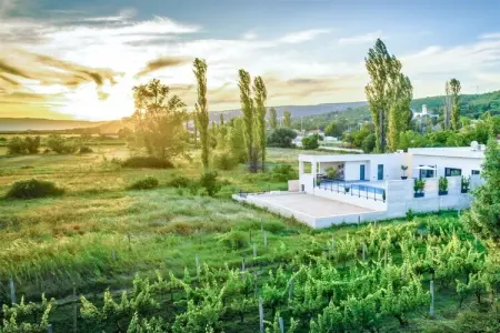 516884, Villa à Imotski avec piscine - Photo 2