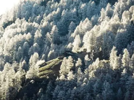 Chalet mit Blick auf die Berge, Maison 5 personnes à Törbel - Photo 39