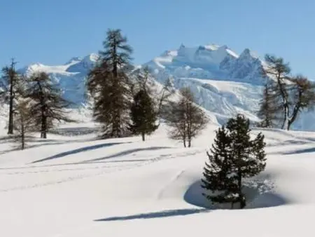 Chalet mit Blick auf die Berge, Maison 5 personnes à Törbel - Photo 43